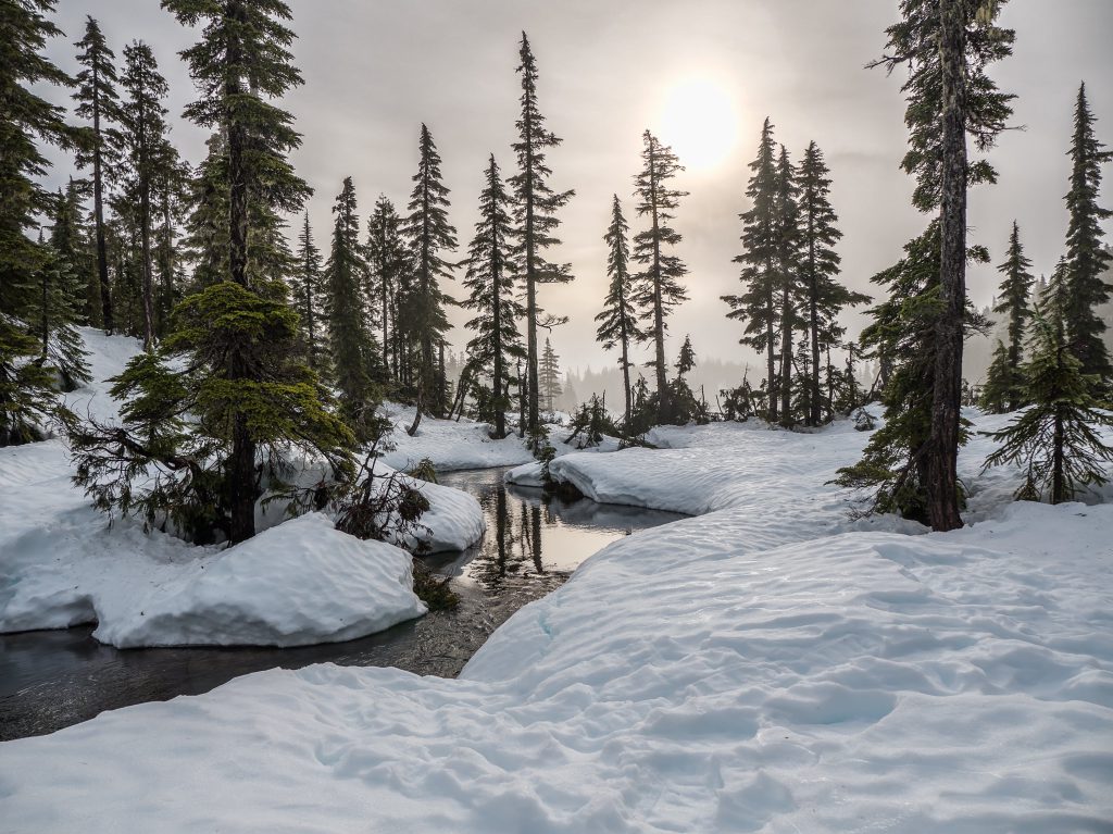 winter destination canada snow